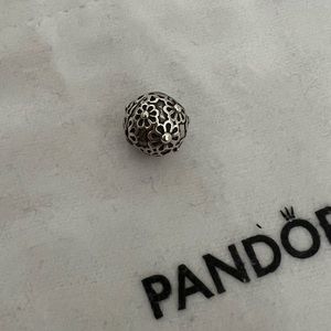 Pandora Charm ~